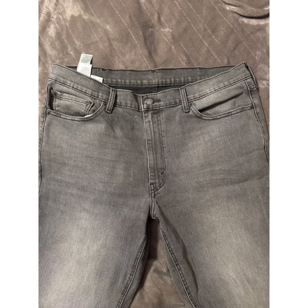 Levis levis 541